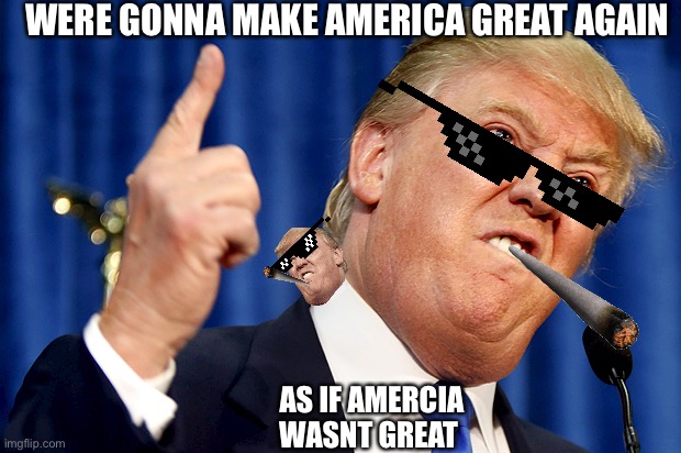 Donald Trump | WERE GONNA MAKE AMERICA GREAT AGAIN; AS IF AMERCIA WASNT GREAT | image tagged in donald trump | made w/ Imgflip meme maker