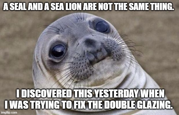 Awkward Moment Sealion Meme | A SEAL AND A SEA LION ARE NOT THE SAME THING. I DISCOVERED THIS YESTERDAY WHEN I WAS TRYING TO FIX THE DOUBLE GLAZING. | image tagged in memes,awkward moment sealion | made w/ Imgflip meme maker