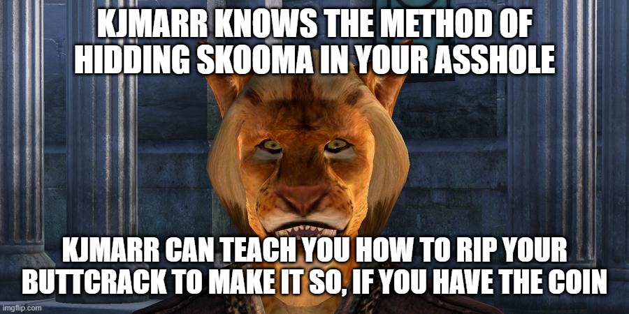 khaajit smuggler habilities | KJMARR KNOWS THE METHOD OF HIDDING SKOOMA IN YOUR ASSHOLE; KJMARR CAN TEACH YOU HOW TO RIP YOUR BUTTCRACK TO MAKE IT SO, IF YOU HAVE THE COIN | image tagged in khaajit,skooma,skyrim,the elder scrolls,smuggling memes,smuggler memes | made w/ Imgflip meme maker
