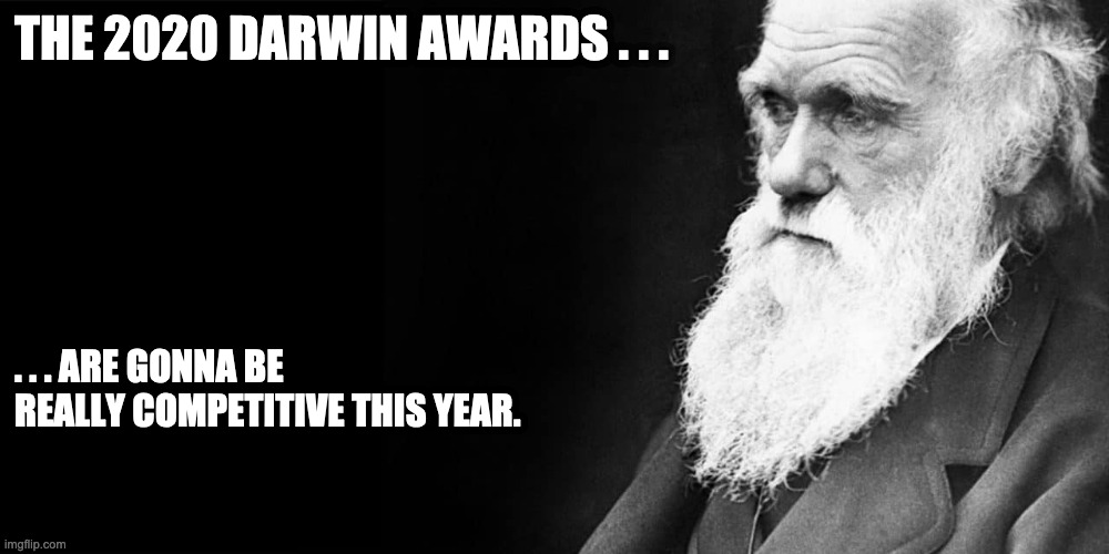 2020 Darwin Awards | THE 2020 DARWIN AWARDS . . . . . . ARE GONNA BE REALLY COMPETITIVE THIS YEAR. | image tagged in science,2020,coronavirus,covid-19,stupid people | made w/ Imgflip meme maker