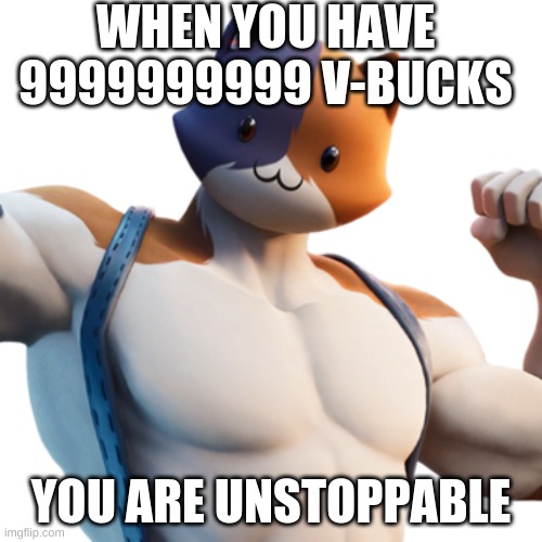 Best Cat | WHEN YOU HAVE 9999999999 V-BUCKS; YOU ARE UNSTOPPABLE | image tagged in meowscles,cats,games,fortnite | made w/ Imgflip meme maker