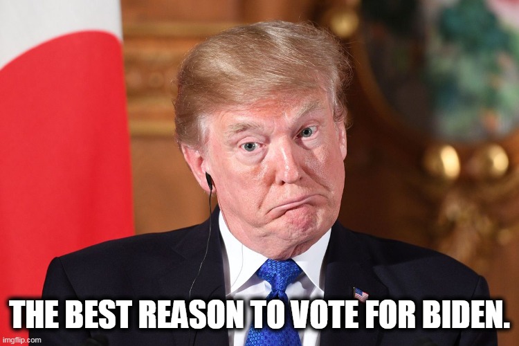 Trump dumbfounded corrected | THE BEST REASON TO VOTE FOR BIDEN. | image tagged in trump dumbfounded corrected | made w/ Imgflip meme maker