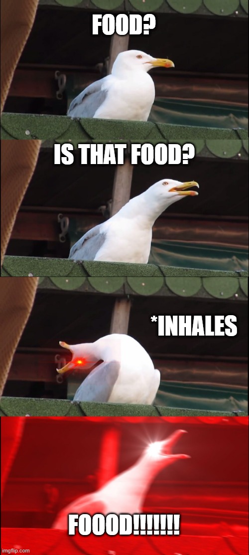 seagull see food! | FOOD? IS THAT FOOD? *INHALES; FOOOD!!!!!!! | image tagged in memes,inhaling seagull,food | made w/ Imgflip meme maker