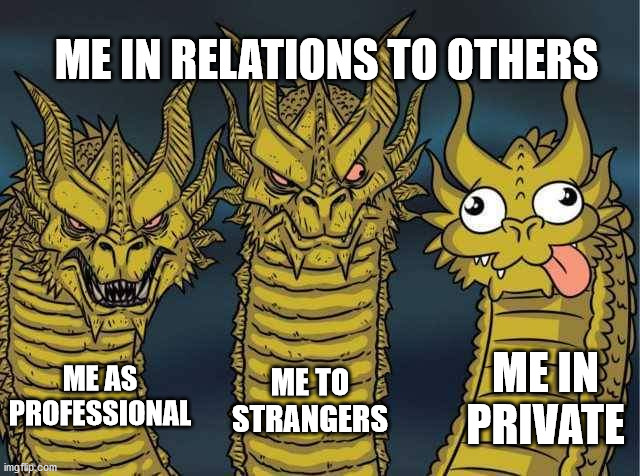 Hydra | ME IN RELATIONS TO OTHERS; ME IN PRIVATE; ME TO STRANGERS; ME AS PROFESSIONAL | image tagged in hydra | made w/ Imgflip meme maker