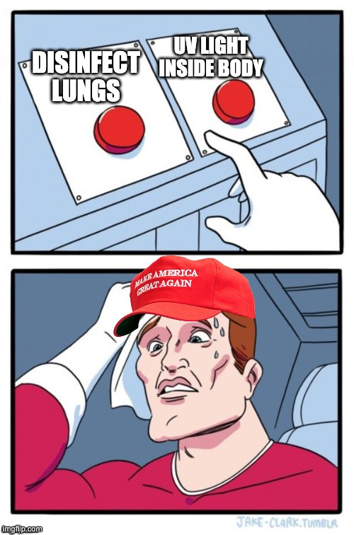 Two Button Maga Hat | UV LIGHT INSIDE BODY; DISINFECT LUNGS | image tagged in two button maga hat | made w/ Imgflip meme maker