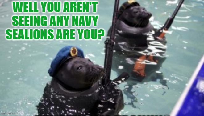 WELL YOU AREN'T SEEING ANY NAVY SEALIONS ARE YOU? | made w/ Imgflip meme maker