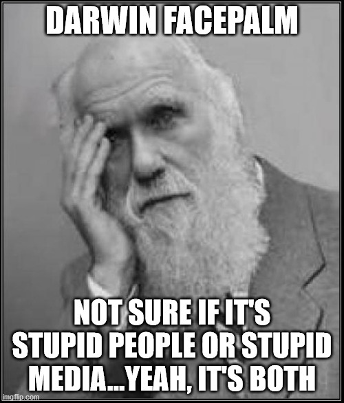 Darwin Facepalm | DARWIN FACEPALM; NOT SURE IF IT'S STUPID PEOPLE OR STUPID MEDIA...YEAH, IT'S BOTH | image tagged in darwin facepalm | made w/ Imgflip meme maker