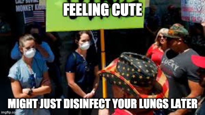 cute lungs | FEELING CUTE; MIGHT JUST DISINFECT YOUR LUNGS LATER | image tagged in covidiots,feeling cute,nurses | made w/ Imgflip meme maker