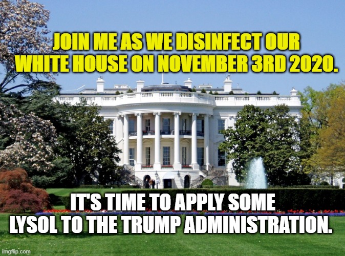 White House | JOIN ME AS WE DISINFECT OUR WHITE HOUSE ON NOVEMBER 3RD 2020. IT'S TIME TO APPLY SOME LYSOL TO THE TRUMP ADMINISTRATION. | image tagged in white house | made w/ Imgflip meme maker