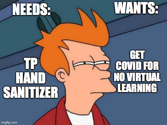 needs and wants fry | WANTS:; NEEDS:; GET COVID FOR NO VIRTUAL LEARNING; TP
HAND SANITIZER | image tagged in memes,futurama fry | made w/ Imgflip meme maker