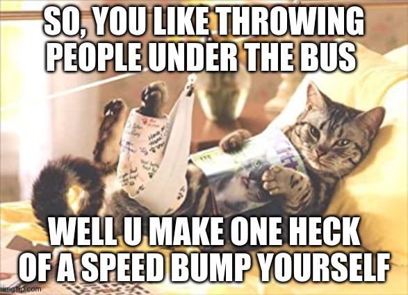 yo | SO, YOU LIKE THROWING PEOPLE UNDER THE BUS; WELL U MAKE ONE HECK OF A SPEED BUMP YOURSELF | image tagged in cats | made w/ Imgflip meme maker