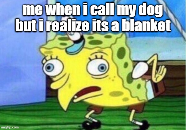 Mocking Spongebob | me when i call my dog but i realize its a blanket | image tagged in memes,mocking spongebob | made w/ Imgflip meme maker