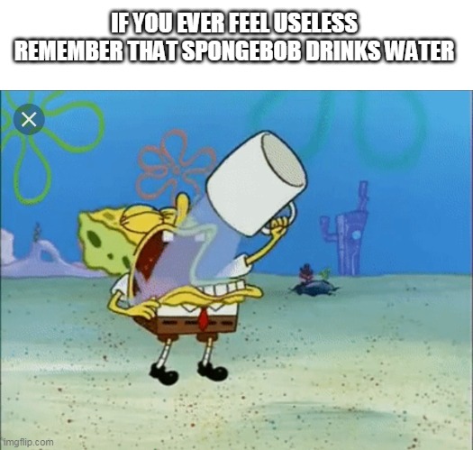 never feel useless | IF YOU EVER FEEL USELESS REMEMBER THAT SPONGEBOB DRINKS WATER | image tagged in spongebob drinking water | made w/ Imgflip meme maker