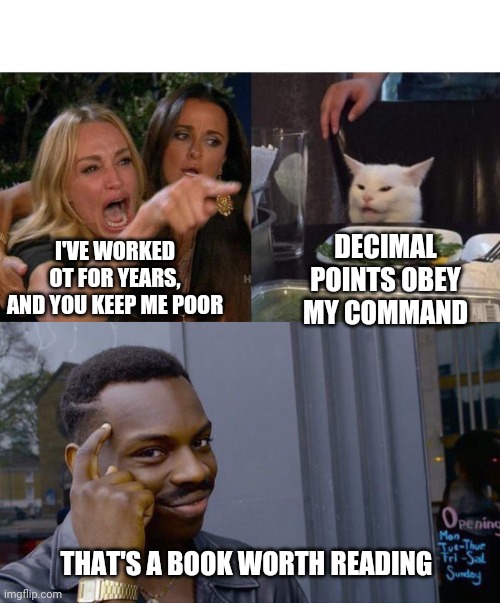 DECIMAL POINTS OBEY MY COMMAND; I'VE WORKED OT FOR YEARS, AND YOU KEEP ME POOR; THAT'S A BOOK WORTH READING | image tagged in memes,roll safe think about it,woman yelling at cat | made w/ Imgflip meme maker