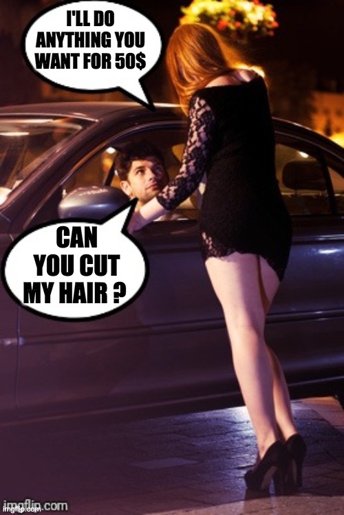 Quarantine Haircut |  I'LL DO ANYTHING YOU WANT FOR 50$; CAN YOU CUT MY HAIR ? | image tagged in prostitute and man,haircut,memes,funny,quarantine,professional | made w/ Imgflip meme maker