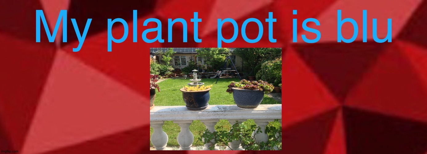 My plant pot is blu | image tagged in iisblu,blu,gardenreveal | made w/ Imgflip meme maker