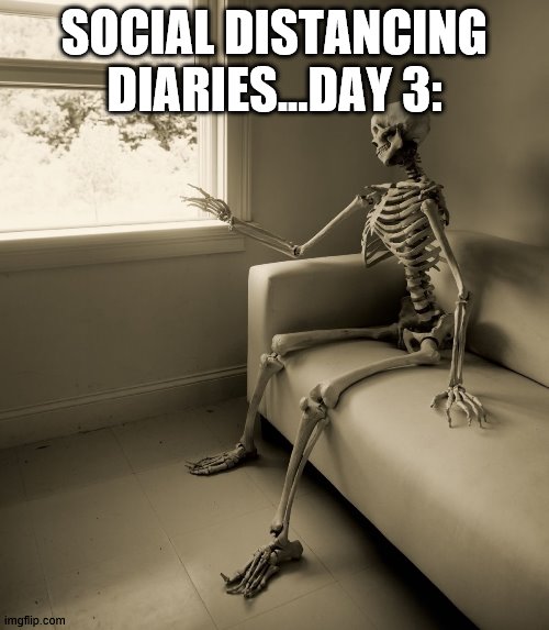 Social Distancing Diaries | SOCIAL DISTANCING DIARIES...DAY 3: | image tagged in lonely skeleton,cool | made w/ Imgflip meme maker