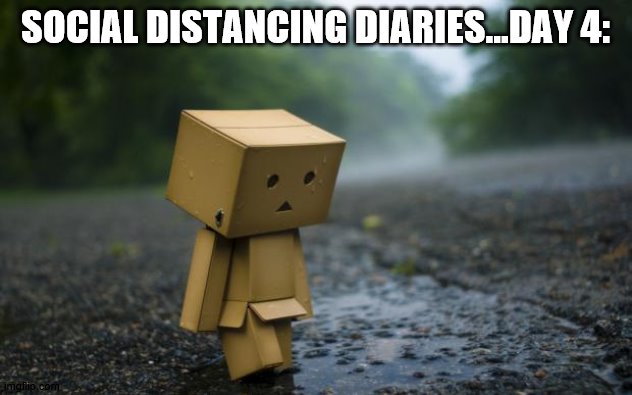 Social Distancing Diaries (last day of this series) | SOCIAL DISTANCING DIARIES...DAY 4: | image tagged in lonely box man,cool | made w/ Imgflip meme maker