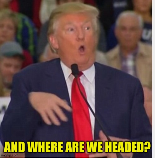 Donald Trump tho | AND WHERE ARE WE HEADED? | image tagged in donald trump tho | made w/ Imgflip meme maker