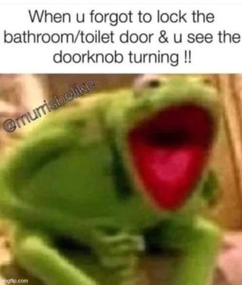 Kermit | image tagged in awww im in here | made w/ Imgflip meme maker