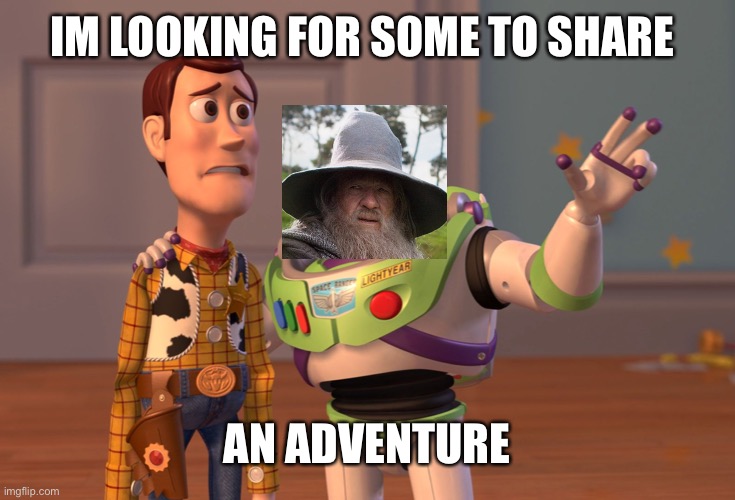 X, X Everywhere Meme | IM LOOKING FOR SOME TO SHARE AN ADVENTURE | image tagged in memes,x x everywhere | made w/ Imgflip meme maker
