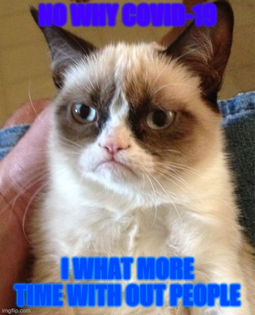 Grumpy cat and covid-19 | NO WHY COVID-19; I WHAT MORE TIME WITH OUT PEOPLE | image tagged in memes,grumpy cat,covid-19 | made w/ Imgflip meme maker