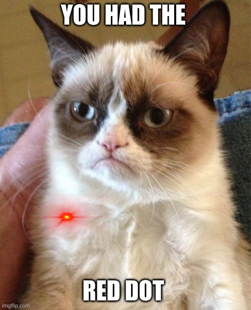 GRUMPY CAT AND RED DOT | YOU HAD THE; RED DOT | image tagged in memes,grumpy cat | made w/ Imgflip meme maker