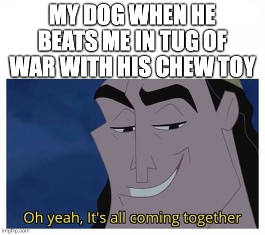 Oh yeah, it's all coming together | MY DOG WHEN HE BEATS ME IN TUG OF WAR WITH HIS CHEW TOY | image tagged in oh yeah it's all coming together | made w/ Imgflip meme maker
