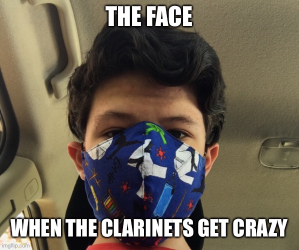 Band Meme | THE FACE; WHEN THE CLARINETS GET CRAZY | image tagged in funny | made w/ Imgflip meme maker