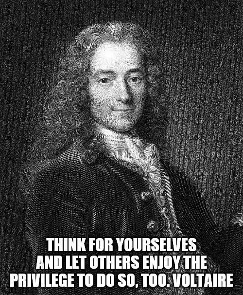 Voltaire Quote | THINK FOR YOURSELVES AND LET OTHERS ENJOY THE PRIVILEGE TO DO SO, TOO. VOLTAIRE | image tagged in inspirational memes | made w/ Imgflip meme maker