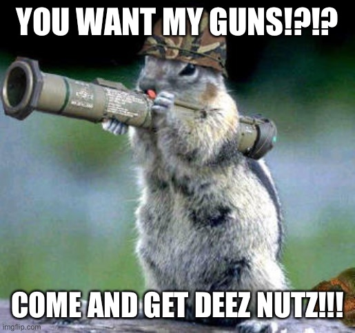 Bazooka Squirrel | YOU WANT MY GUNS!?!? COME AND GET DEEZ NUTZ!!! | image tagged in memes,bazooka squirrel | made w/ Imgflip meme maker