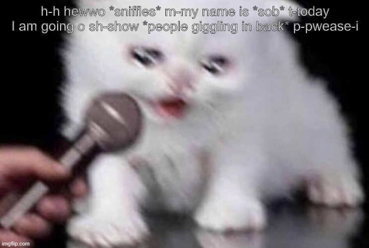kitteh | h-h hewwo *sniffles* m-my name is *sob* t-today I am going o sh-show *people giggling in back* p-pwease-i | image tagged in kitteh | made w/ Imgflip meme maker