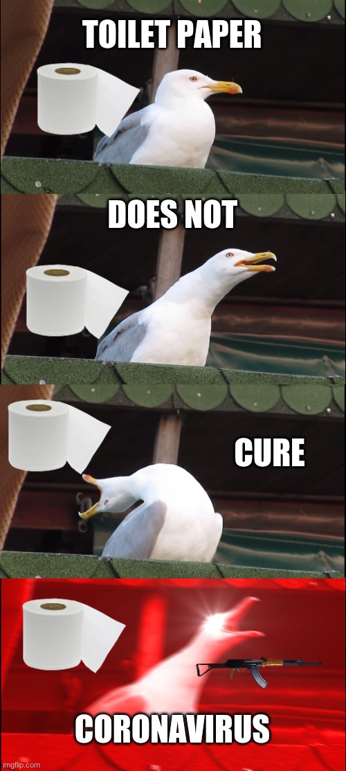 AHHHHHHHHHHHHHHHHHHHHHHHHHHHHHHHHH | TOILET PAPER; DOES NOT; CURE; CORONAVIRUS | image tagged in memes,inhaling seagull | made w/ Imgflip meme maker