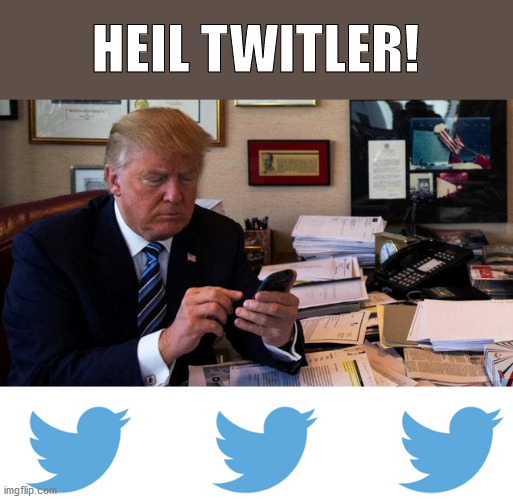Heil Twitler! | HEIL TWITLER! | image tagged in donald trump,trump,twitter,stupidity | made w/ Imgflip meme maker