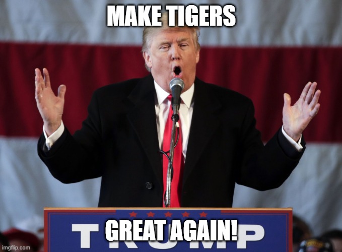 Make america great again | MAKE TIGERS; GREAT AGAIN! | image tagged in make america great again | made w/ Imgflip meme maker