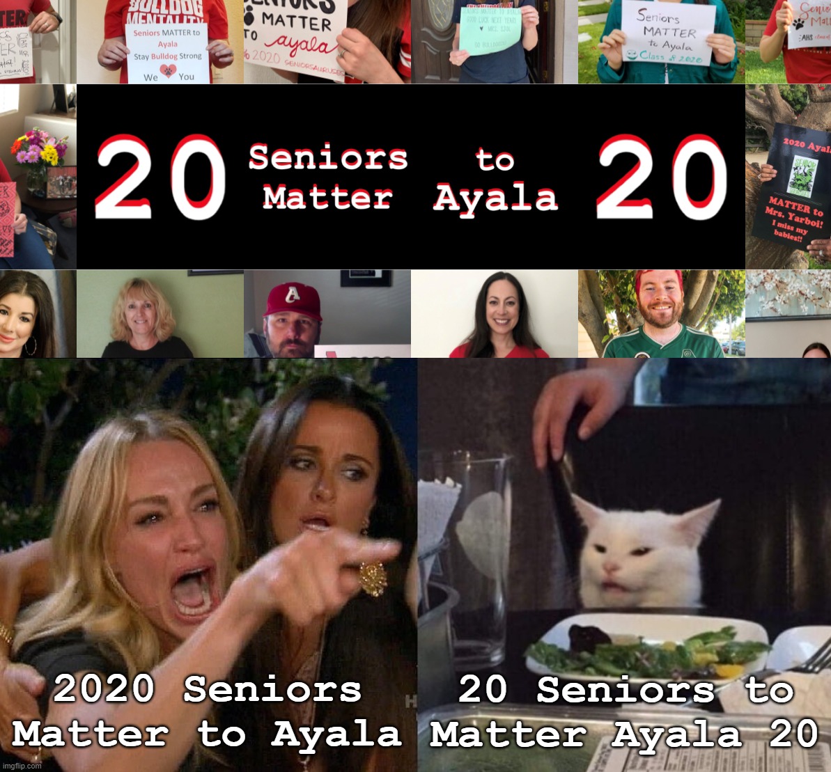 Senior Lives Matter | 2020 Seniors Matter to Ayala; 20 Seniors to Matter Ayala 20 | image tagged in woman yelling at cat | made w/ Imgflip meme maker