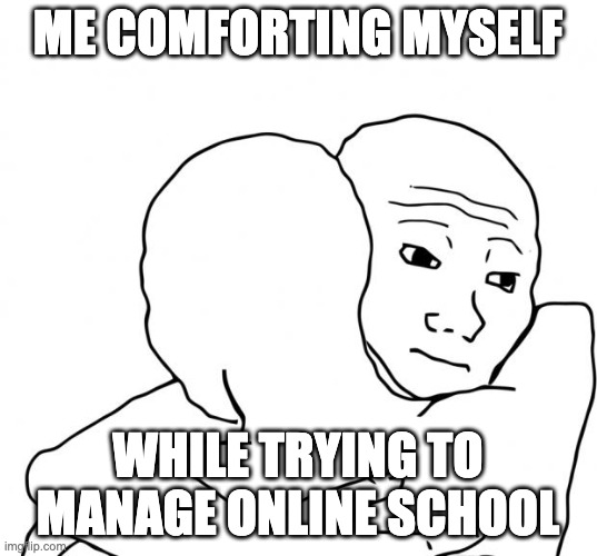 I Know That Feel Bro | ME COMFORTING MYSELF; WHILE TRYING TO MANAGE ONLINE SCHOOL | image tagged in memes,i know that feel bro | made w/ Imgflip meme maker