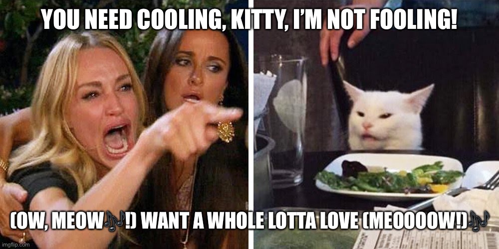 Zed Lepin | YOU NEED COOLING, KITTY, I’M NOT FOOLING! (OW, MEOW🎶!) WANT A WHOLE LOTTA LOVE (MEOOOOW!)🎶 | image tagged in smudge the cat | made w/ Imgflip meme maker