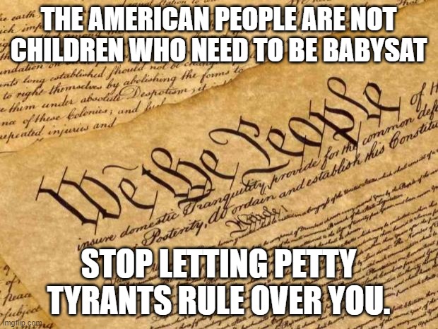 The Nanny State | THE AMERICAN PEOPLE ARE NOT CHILDREN WHO NEED TO BE BABYSAT; STOP LETTING PETTY TYRANTS RULE OVER YOU. | image tagged in constitution | made w/ Imgflip meme maker