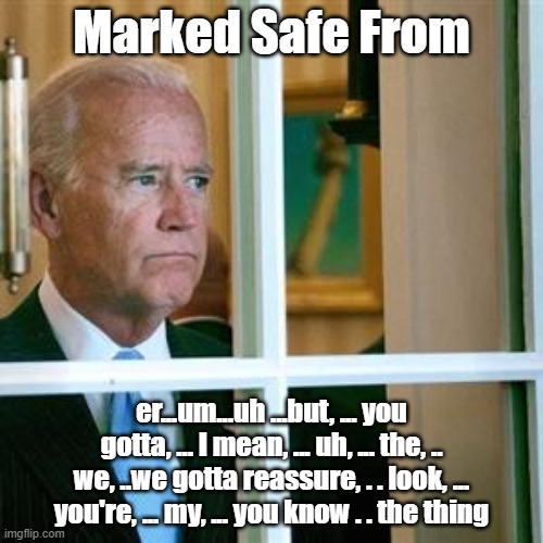 Marked safe from the thing | Marked Safe From; er...um...uh ...but, ... you gotta, ... I mean, ... uh, ... the, .. we, ..we gotta reassure, . . look, ... you're, ... my, ... you know . . the thing | image tagged in joe biden | made w/ Imgflip meme maker