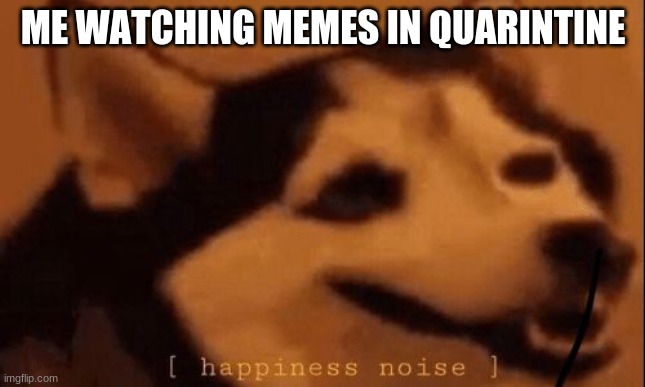 [happiness noise] | ME WATCHING MEMES IN QUARINTINE | image tagged in happiness noise | made w/ Imgflip meme maker