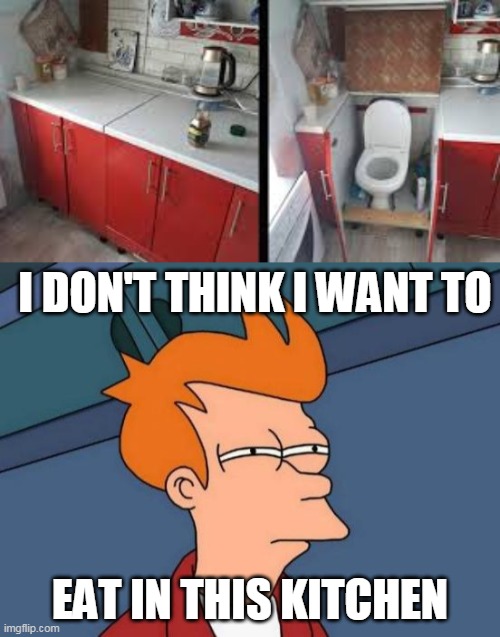 What the Crap? | I DON'T THINK I WANT TO; EAT IN THIS KITCHEN | image tagged in memes,futurama fry,funny memes,fun,toilet,bathroom | made w/ Imgflip meme maker