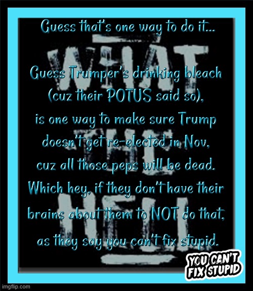 Guess that's one way to do it, you can't fix stupid | image tagged in you can't fix stupid | made w/ Imgflip meme maker