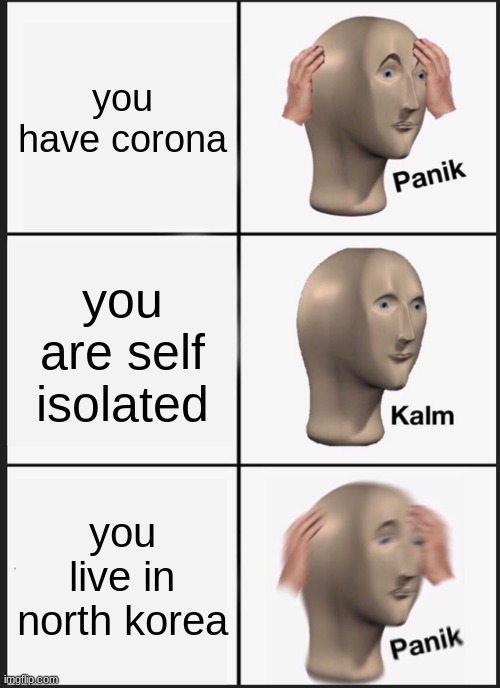 Panik Kalm Panik | you have corona; you are self isolated; you live in north korea | image tagged in memes,panik kalm panik | made w/ Imgflip meme maker