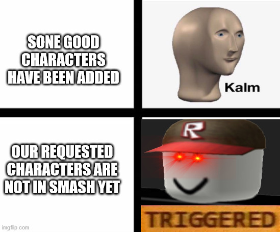 do you hate it when this happens? some good characters, but NONE OF OUR REQUESTS HAVE BEEN ANSWERED? | SONE GOOD CHARACTERS HAVE BEEN ADDED; OUR REQUESTED CHARACTERS ARE NOT IN SMASH YET | image tagged in triggered template,super smash bros,dlc | made w/ Imgflip meme maker