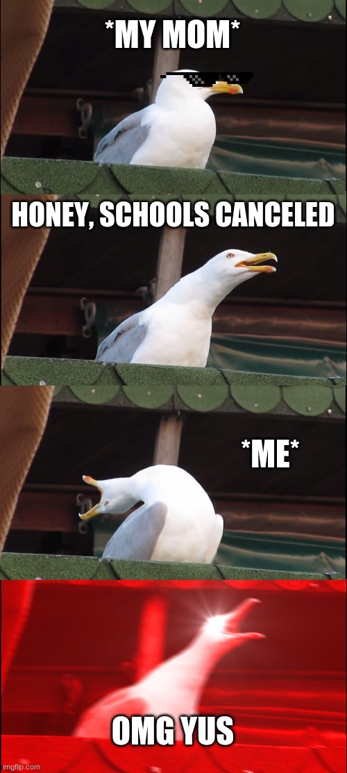 my reactions to things | *MY MOM*; HONEY, SCHOOLS CANCELED; *ME*; OMG YUS | image tagged in memes,inhaling seagull | made w/ Imgflip meme maker