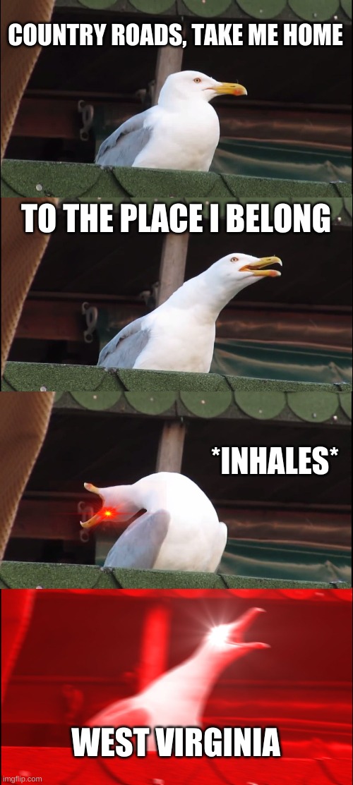 Country roads |  COUNTRY ROADS, TAKE ME HOME; TO THE PLACE I BELONG; *INHALES*; WEST VIRGINIA | image tagged in memes,inhaling seagull,west virginia,country | made w/ Imgflip meme maker