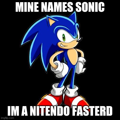 You're Too Slow Sonic | MINE NAMES SONIC; IM A NITENDO FASTERD | image tagged in memes,you're too slow sonic | made w/ Imgflip meme maker