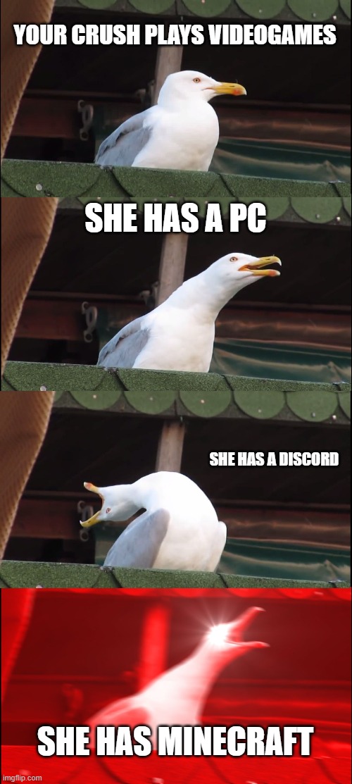 I N H A L E | YOUR CRUSH PLAYS VIDEOGAMES; SHE HAS A PC; SHE HAS A DISCORD; SHE HAS MINECRAFT | image tagged in memes,inhaling seagull | made w/ Imgflip meme maker