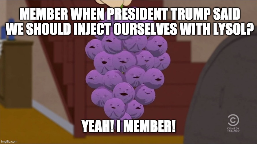 Don't inject your body with lysol. | MEMBER WHEN PRESIDENT TRUMP SAID WE SHOULD INJECT OURSELVES WITH LYSOL? YEAH! I MEMBER! | image tagged in memes,member berries,covid-19 | made w/ Imgflip meme maker